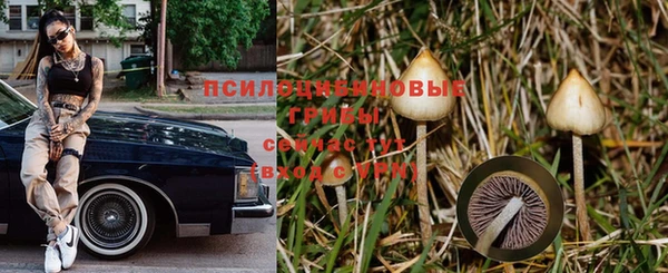 ПСИЛОЦИБИНОВЫЕ ГРИБЫ Аркадак