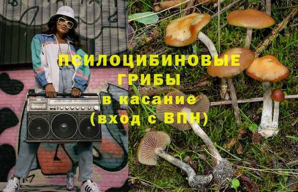 ПСИЛОЦИБИНОВЫЕ ГРИБЫ Аркадак