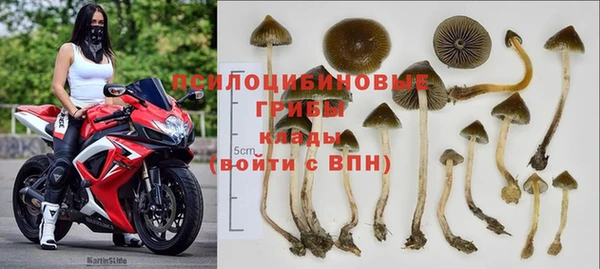 ПСИЛОЦИБИНОВЫЕ ГРИБЫ Аркадак