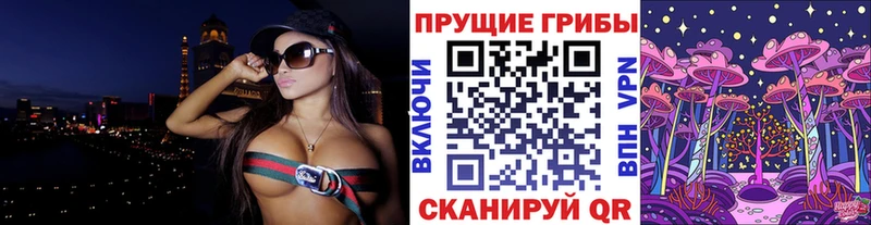 сколько стоит  Арск  Галлюциногенные грибы Psilocybe 